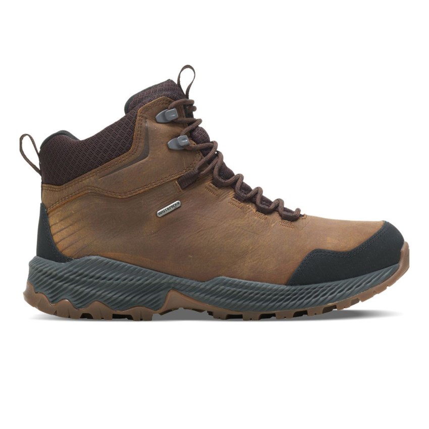 Chaussures Randonnée Merrell Forestbound Mid Waterproof Marron Homme | T.Y.JJCH